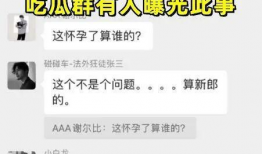 爆料吃瓜群聊天记录,一场网络爆料的狂欢盛宴