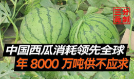 工商爆料吃瓜网是真的吗,吃瓜网真实性揭秘