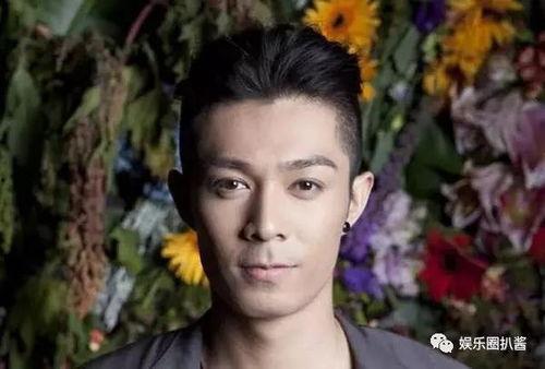 周柏豪 电视剧,影视歌多栖艺人，电视剧中的魅力演绎