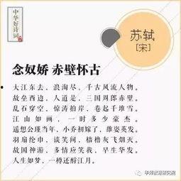 琵琶行动漫,穿越时空的旋律传奇